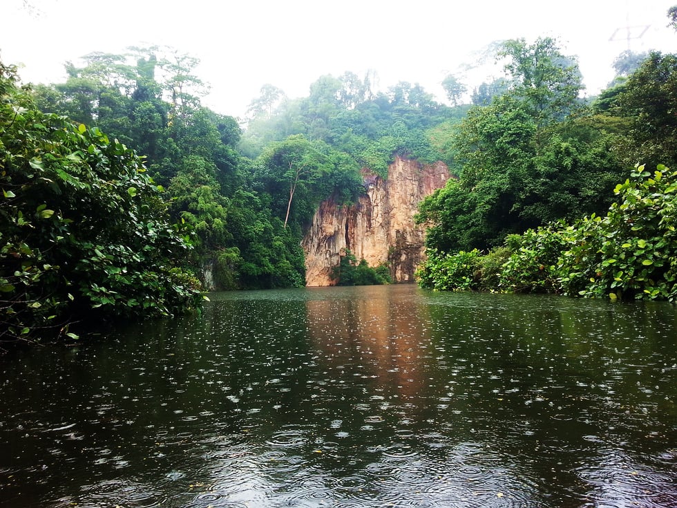 Rains in Nature Reserve